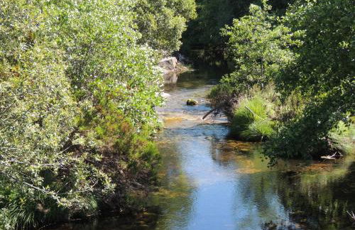 Casa do Forno FR - Foto 6