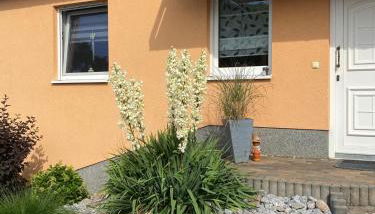 Oase der Ruhe 2 - Foto 4