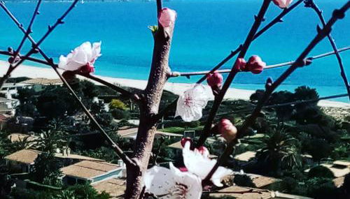 La Terrazza sull'Alba - Foto 5