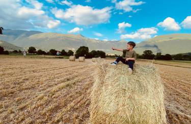 Agriturismo La Fattoria - Photo 14