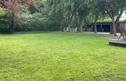 Wood Place - Foto 60