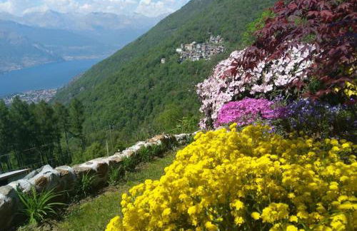 Ca'Capriolo - Foto 29