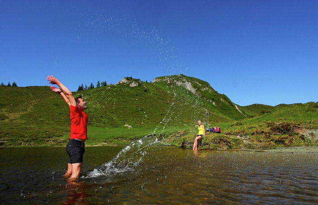 Cozy Chalet With Sauna in Grossarl - Photo 31