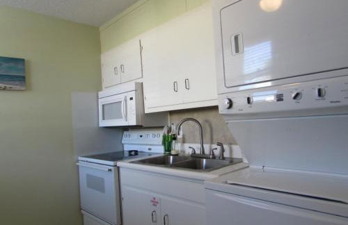 Sea Palm E - Foto 16