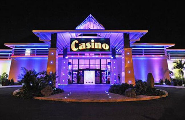 Kaz ananas passion - Photo 32