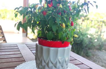 Holiday home Mennulita - Foto 39