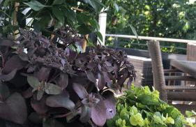 Strandstraße H3W6 Kölpinsee - Foto 29