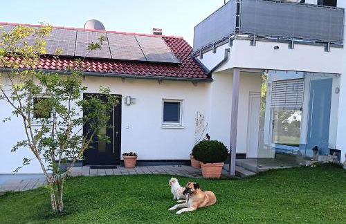 Ferienwohnung IDA - Foto 1