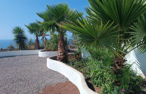 Vivaldi Summer - Foto 25