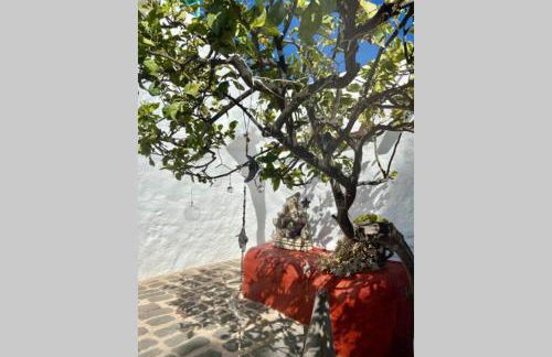 Casa Alegria II - Foto 7