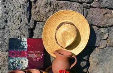 Adega da Prainha - Photo 22