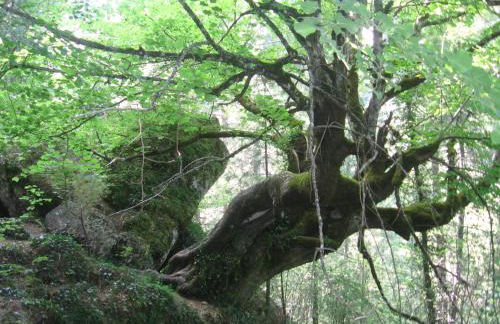 Casa rural Marcelina - Foto 36