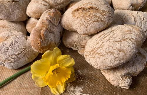 Moar am Ort - Foto 27