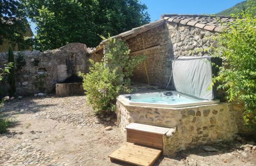 Grand Mas Provençal avec jacuzzi - Foto 1