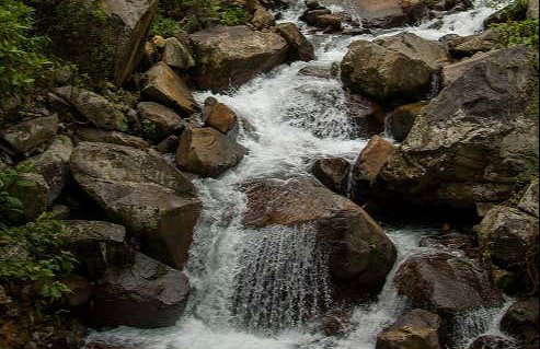 Tirolina en el Parque Nacional La Amistad - Foto 6