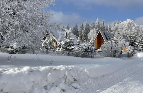 Ferienwohnung Beyer Friedrichroda - Foto 44