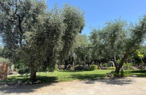 La Casa Del Nonno - Foto 20