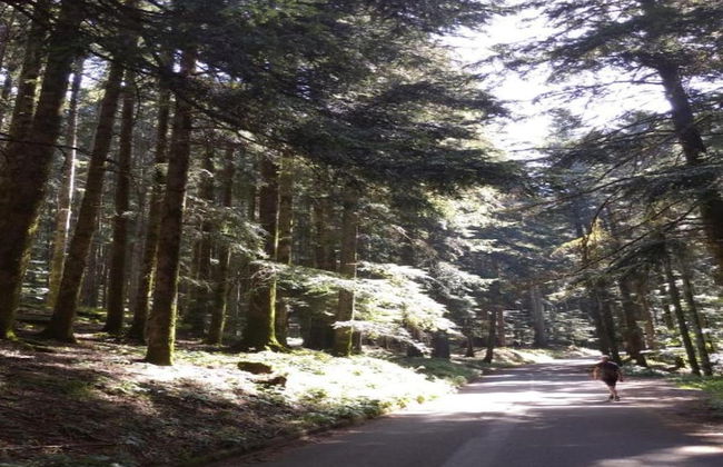 Belvilla by Oyo Beatrice - Photo 41