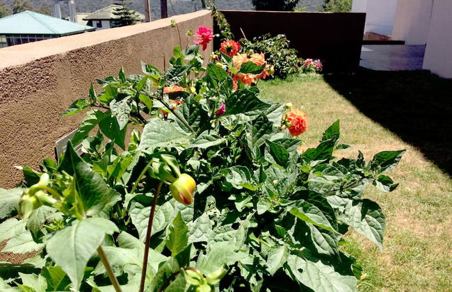 Kingsford Residences - Foto 34