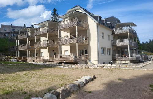 bel appartement 3 pièces dans la Résidence Vosges-Alsace Orbey - Foto 21