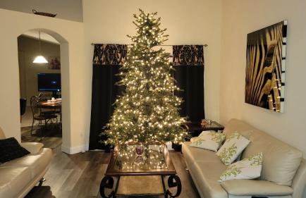 Family Vacation Home With Pool and Spa Near Disney and Universal - Photo 29