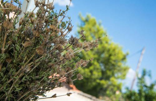 Filanthi's Retreat In Mani's Nature - Foto 23