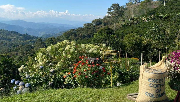 As belas paisagens de Jardín