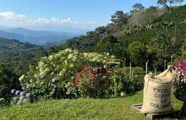 Tour do café por Jardín - Foto 2