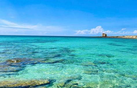 Villa Ducale - Foto 31