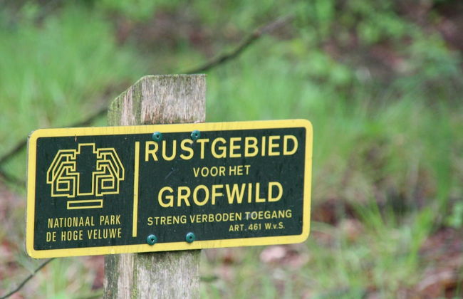 Spacious Holiday Home in Garderen near Forest - Foto 35