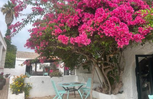 Agroturismo Matxani Gran - Foto 57