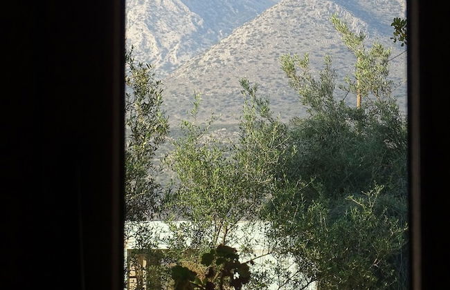 Sofia Limeni - Photo 54