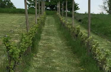 Gîtes Oasis du Lot - Foto 27