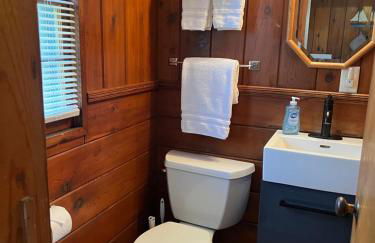 Sleeping Bear Riverside Cabins - Foto 40