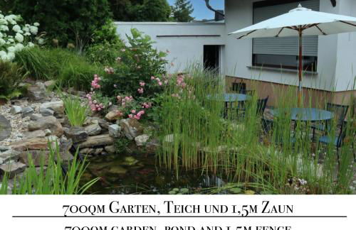 Natur-Ferien-Haus Klein Rosenburg 120qm, Kamin, 100Mbit WLAN, eingezäunter Garten - Foto 1