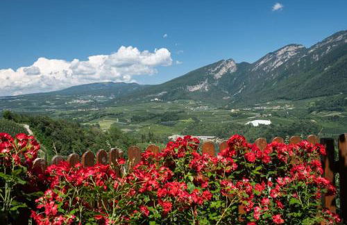 Agritur Agrihouse - Foto 14