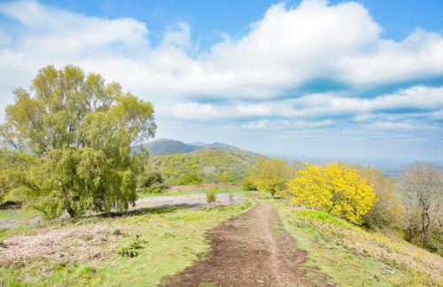 Little Hollows Glamping - Foto 66