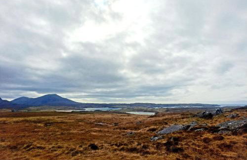 Logan Home - Foto 13