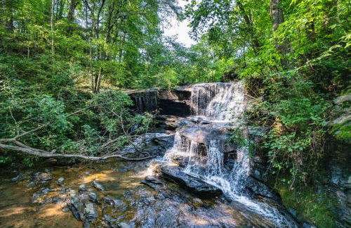 The Holiday Cabin at Lake Lure - Photo 23