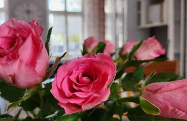 Ferienwohnung im Konvent - Foto 1