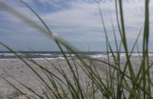 1 in the Maassen Country House - Foto 55