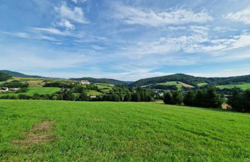 Willa Maja Bieszczady noclegi Bieszczady - Foto 43