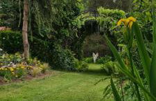 Sowi Dworek - Foto 14