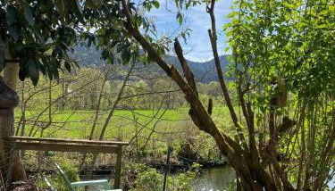 Côté Rive, au bord de la rivière La Moselotte et terrasse - Foto 2