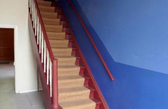 Blaue Gans - Foto 24