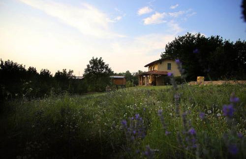 Ecolodge Langhe - Foto 25