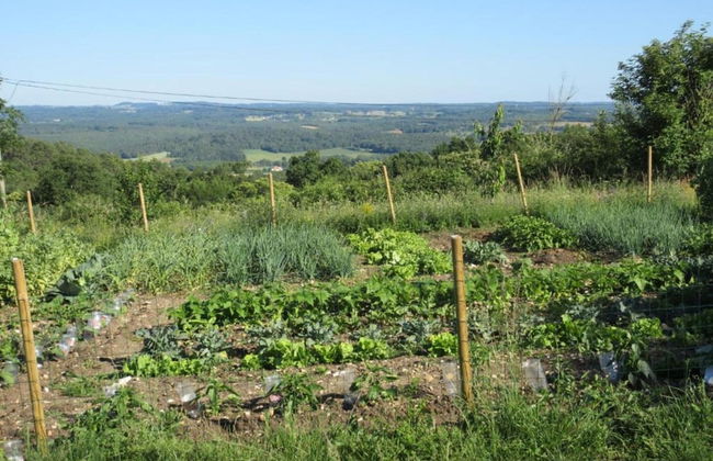 Stylish Villa on Historic Estate - Foto 19