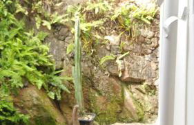 LINDA CASA NO CENTRO HISTÓRICO - Foto 49