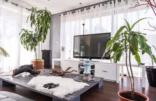 Akivillas Azeitao Relax - Foto 3