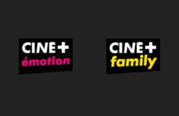 Appartement chaleureux en centre-ville - Foto 29